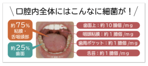 口腔内全体にはこんなに細菌が！