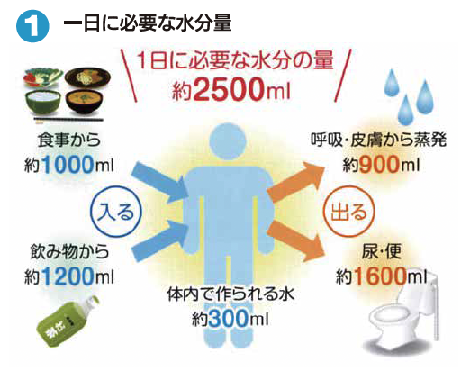 一日に必要な水分量