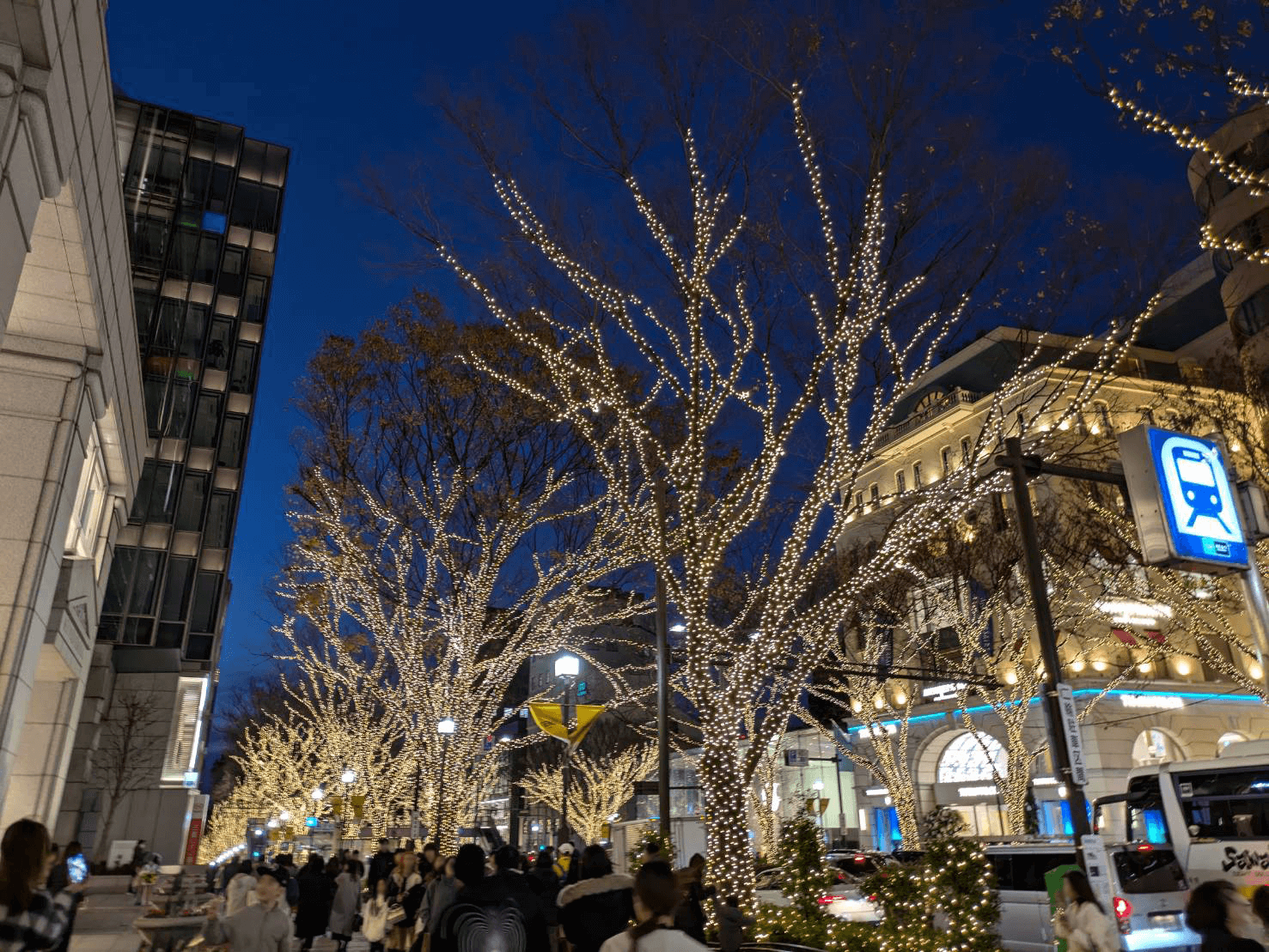 表参道のイルミネーション