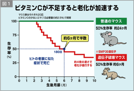 図1