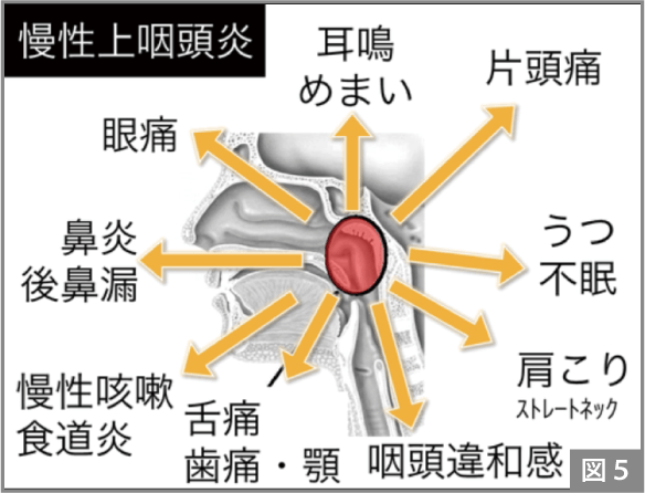 図5