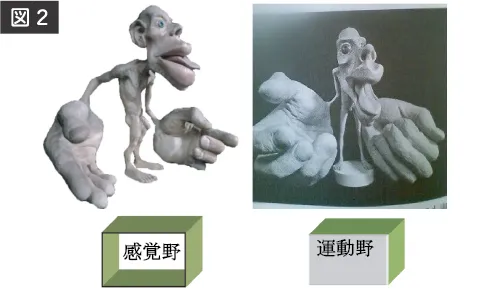 ホムンクルス人形