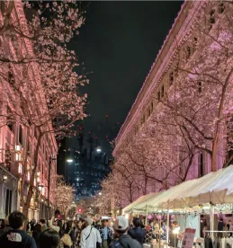 三越本店の前の桜並木